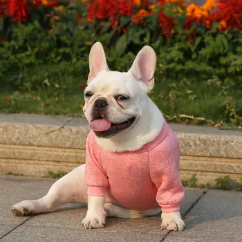 Topla zimska odjeća za pse za male pse Francuski Buldog Majica Štene Mačka Prsluk i Kaput Mops Klasični pulover za kućne ljubimce Odjeća Odjeća